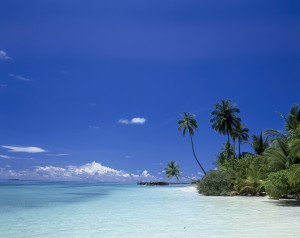 Maldives_72967544 